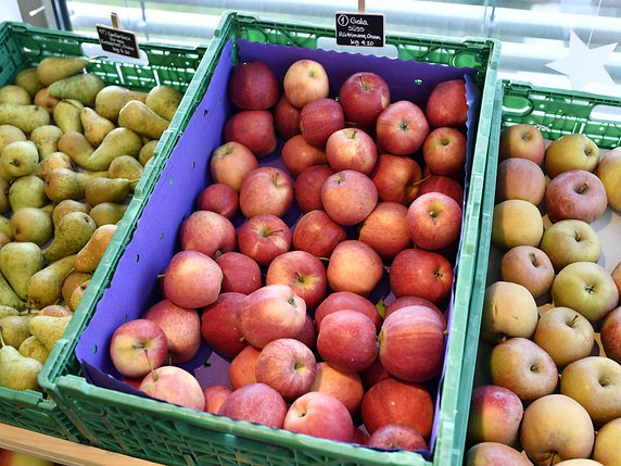 Les pommes et les poires suisses sont déjà mûres (archives). © KEYSTONE/WALTER BIERI